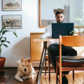 What is the Best Business to Start with $1,000 Dollars?