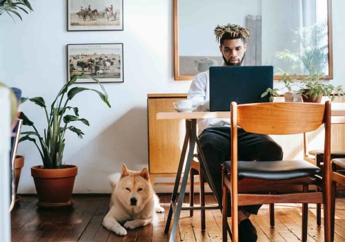 What is the Best Business to Start with $1,000 Dollars?